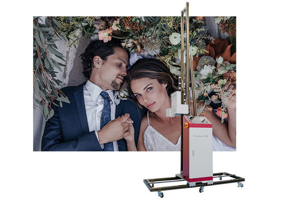 5D CMYKW UV Wall Printing Machine With Epson Head
